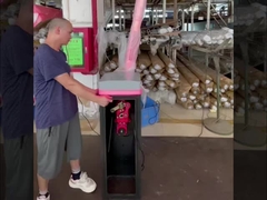 Cổng rào chắn bãi đậu xe HCW Động cơ không chổi than 24v DC cho an ninh cổng thông minh